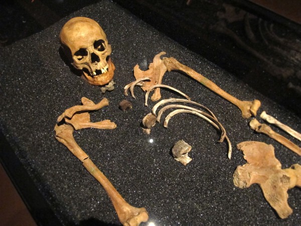 Vasa skeleton remains